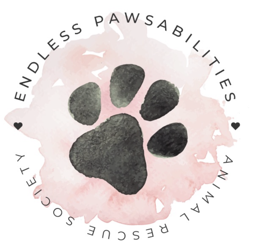 endless-pawsabilities-animal-rescue-society