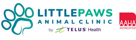 Little Paws logo telus aaha richmond animal clinic